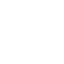 Borqs Technologies, Inc.