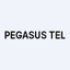 Pegasus Tel, Inc.